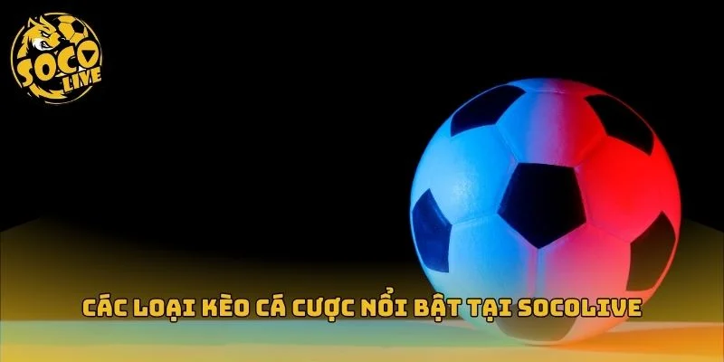 Tổng hợp các kèo cược phổ biến