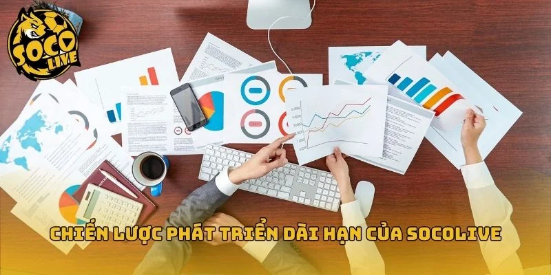 Tầm nhìn và mục tiêu phát triển