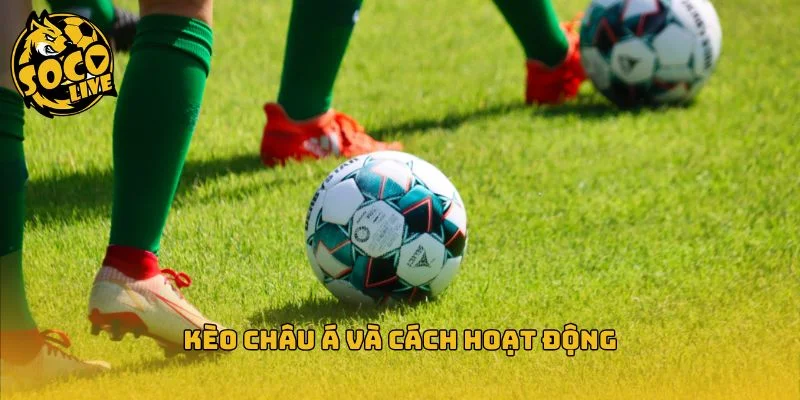 Phân tích cụ thể về kèo châu Á